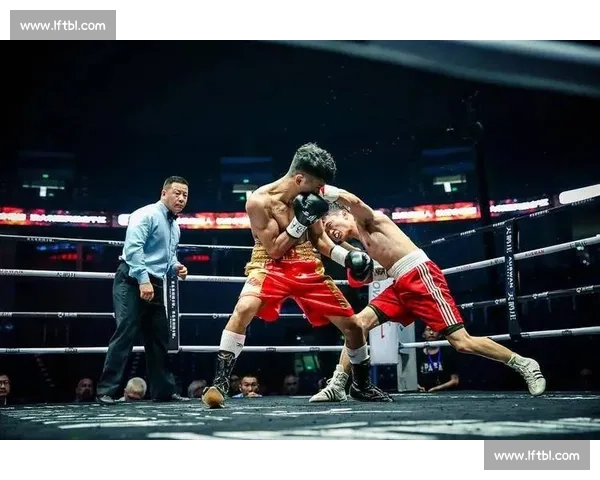 菲多对阵祖鲁金霍的力量差距与格斗传奇瞬间回顾赛事背景技术解析